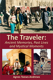 Cover of the book The Traveler